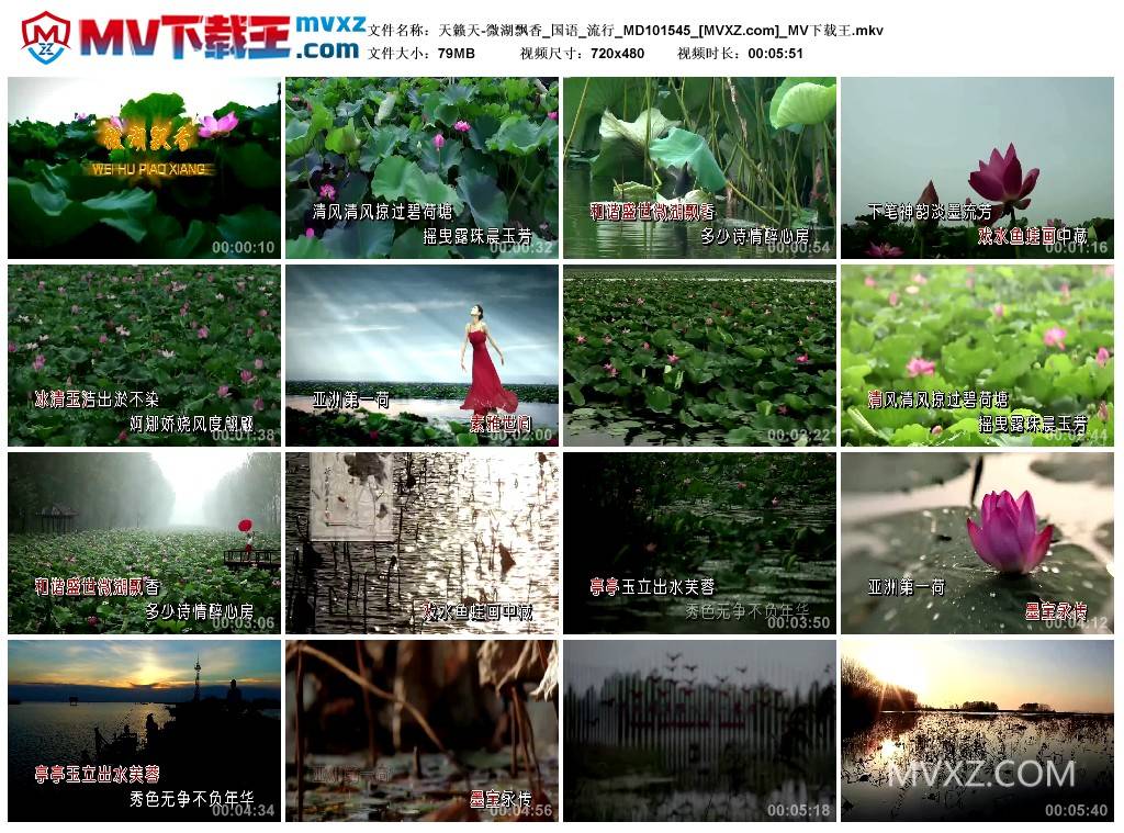 天籁天-微湖飘香_国语_流行_MD101545